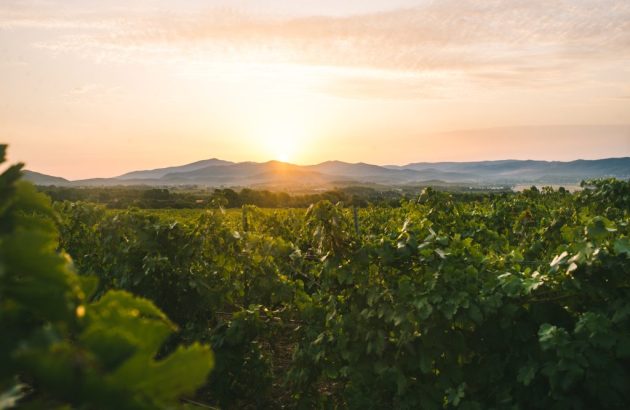 Sainte Marguerite en Provence announces plans to acquire estate