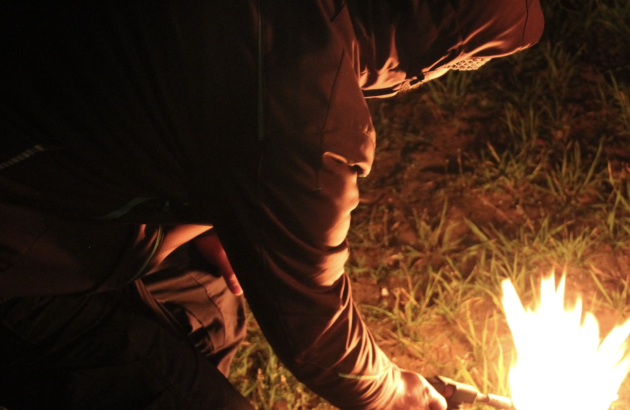 Spring frosts strike German vineyards