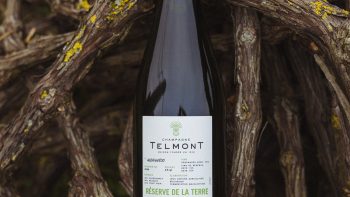 Telmont delivers ‘message of hope’ with organic Champagne