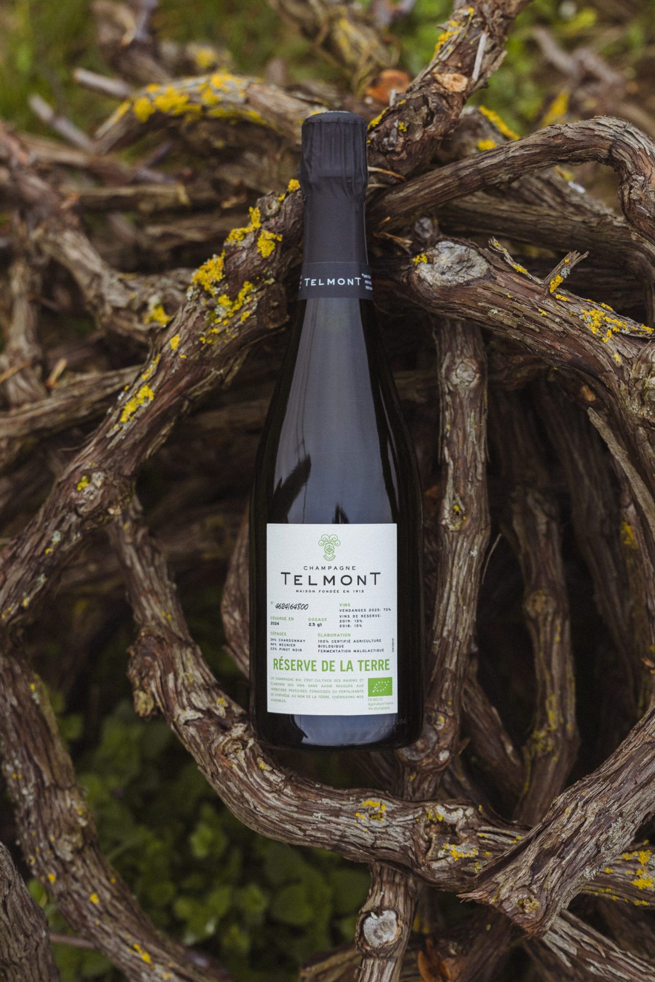 Telmont delivers ‘message of hope’ with organic Champagne