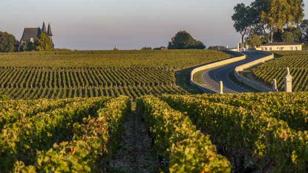 The 2025 cru bourgeois reclassification: tasting notes