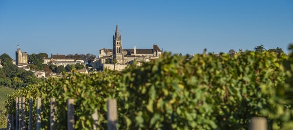 Saint Émilion 2023: a vintage of glass ceilings