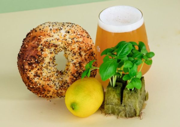Talea Beer puts bagels into brews