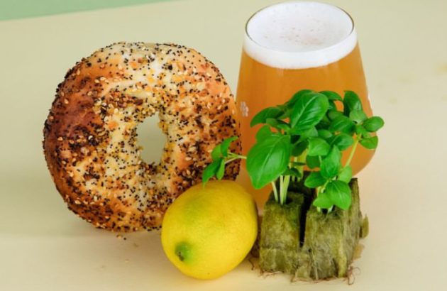 Talea Beer puts bagels into brews