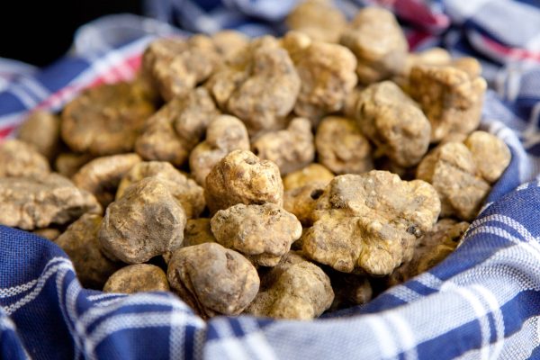 Oregon’s tremendous truffle pairings