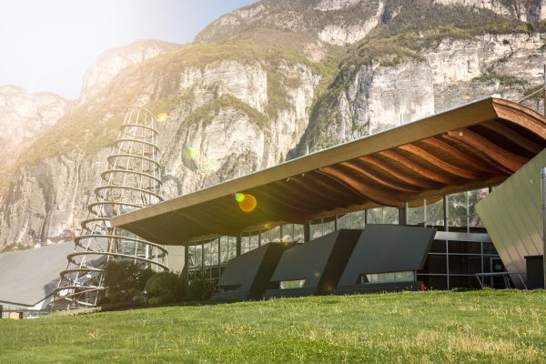 Mezzacorona’s winemaking team charts a ‘path of expertise’ across Italy