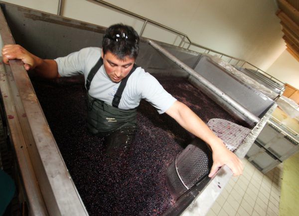 Making a Master: Cono Sur Ocio Pinot Noir 2021