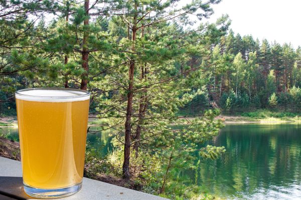 Drinkers would pay more for eco-friendly beers