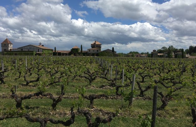 Pessac-Léognan (rouge) 2023: some exceptional wines among ‘uneven’ reds