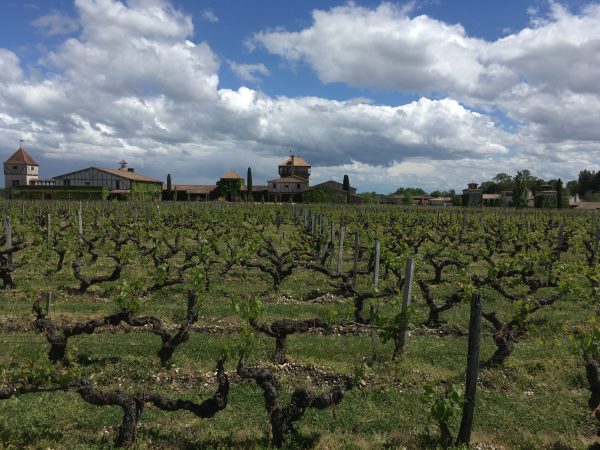 Pessac-Léognan (rouge) 2023: some exceptional wines among ‘uneven’ reds