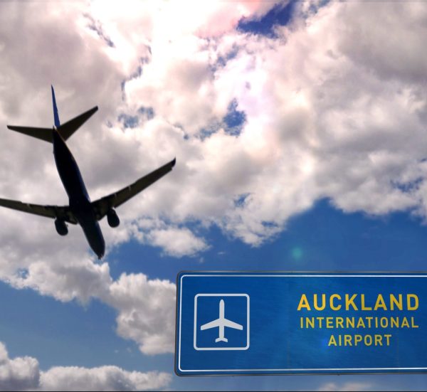 New Zealand winegrower sentenced for smuggling Aussie cuttings