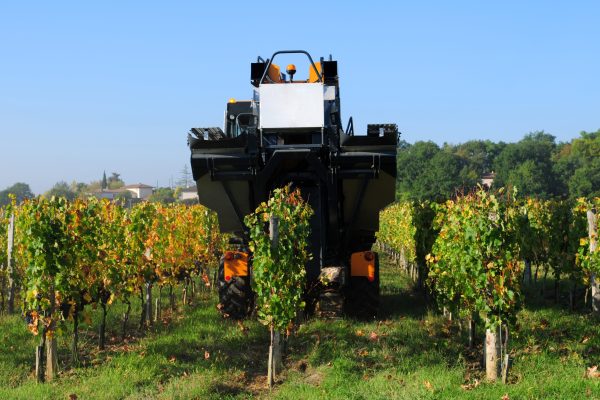 Antinori bets on vineyard robots