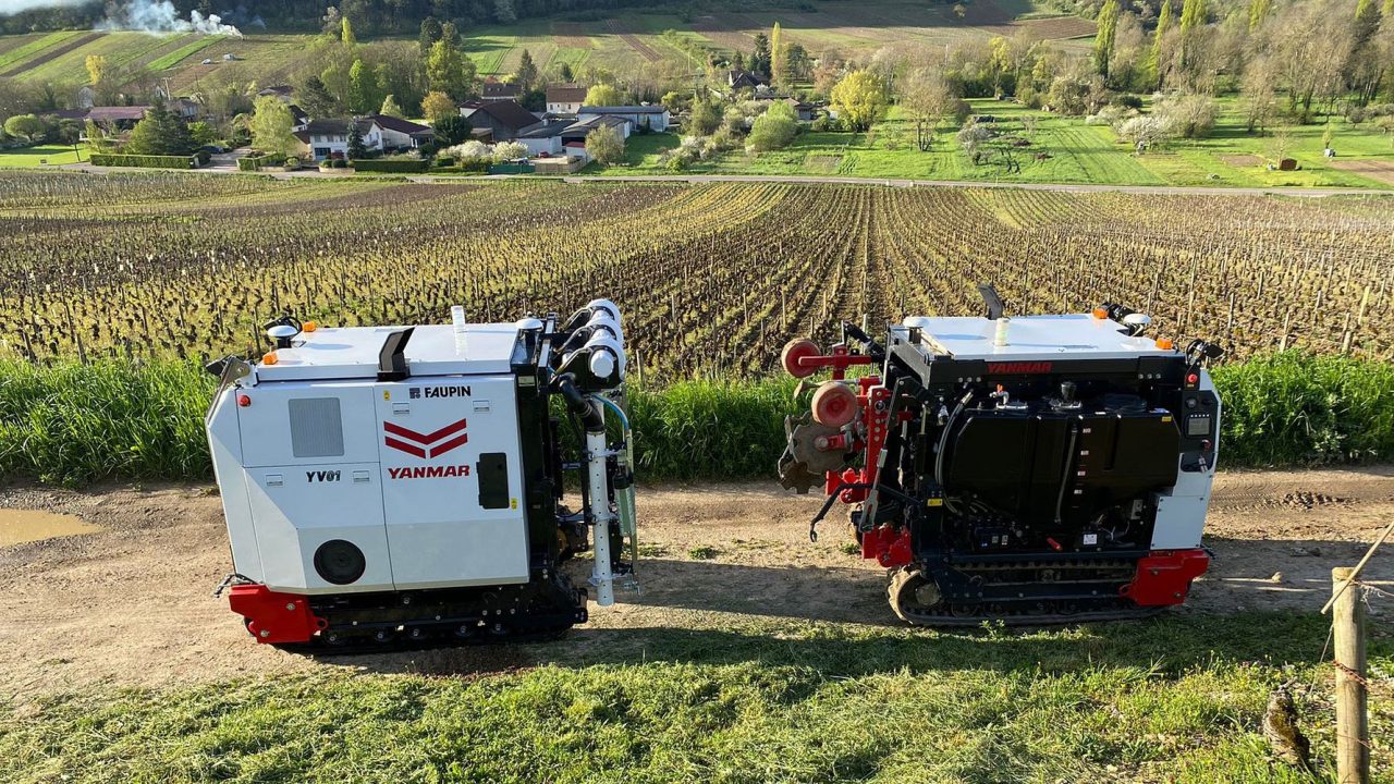 Moët backs robots to manage vineyards in Champagne