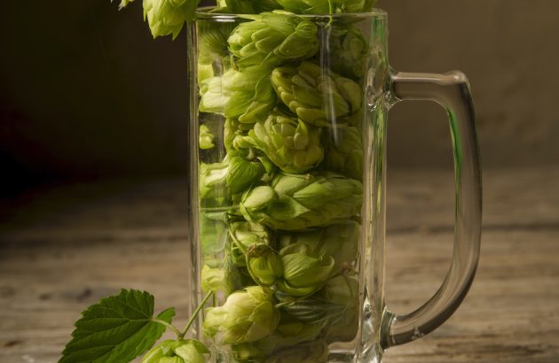The hop water trend gathers momentum