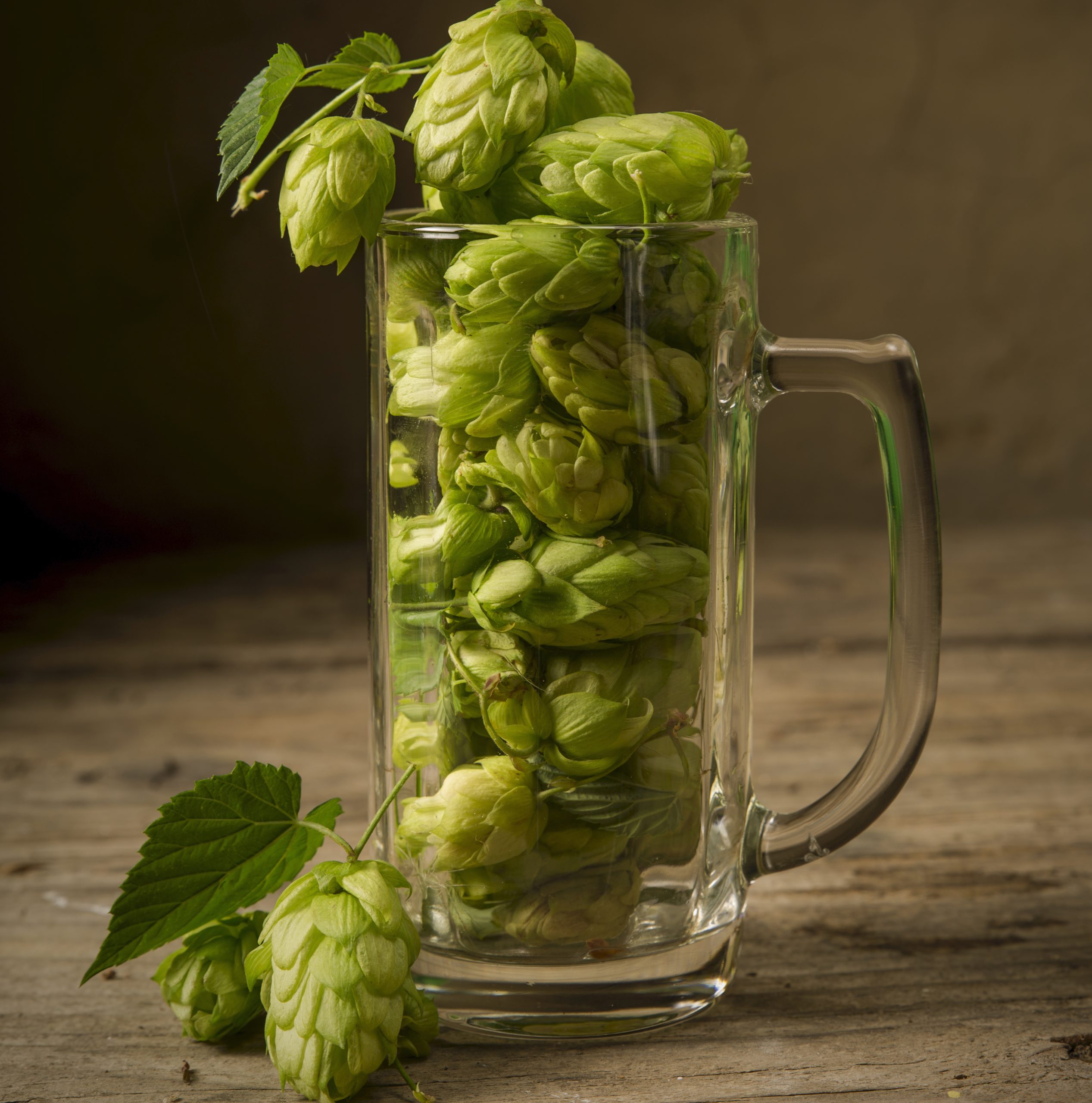 The hop water trend gathers momentum