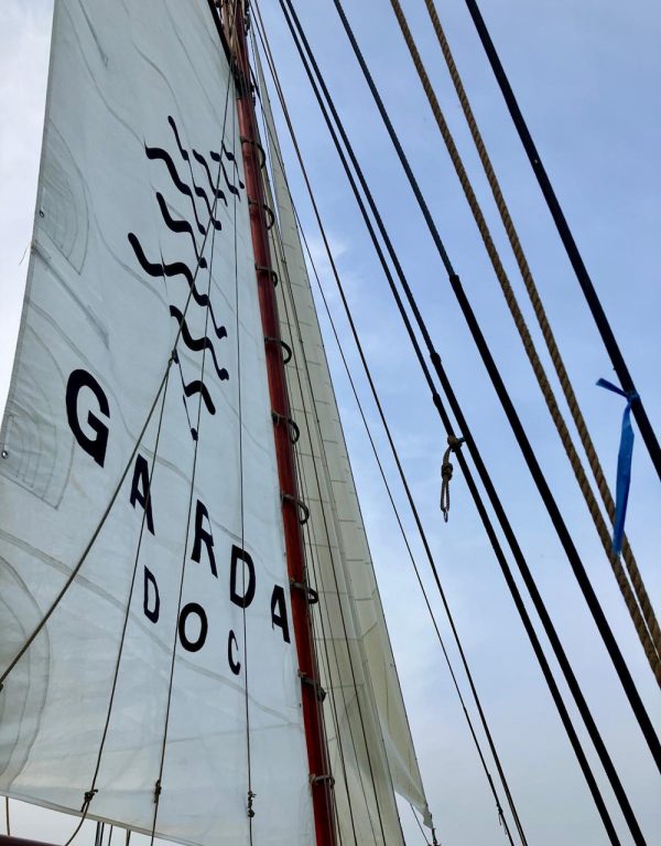 Week in pictures: 1 – 7 June 2024