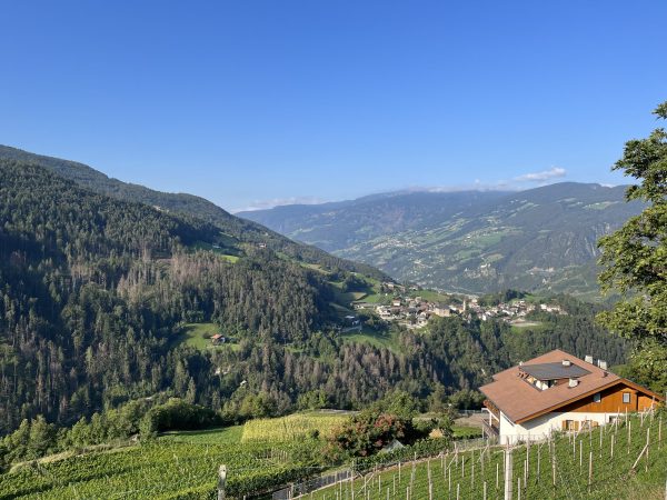 Why wine tourism will play a growing role in Alto Adige
