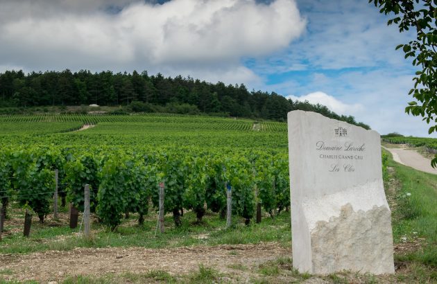 Chablis: a Burgundy for the masses?
