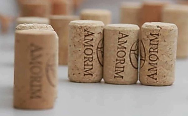 Colangelo & Partners recruits ex-Amorim exec