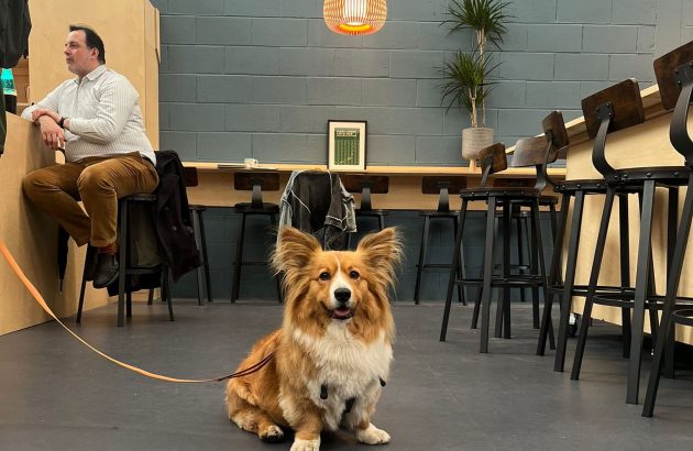 Campervan Brewery opens newly-renovated taproom