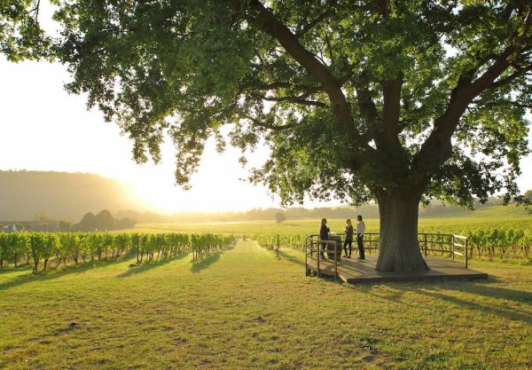 Denbies gets B Corp certification