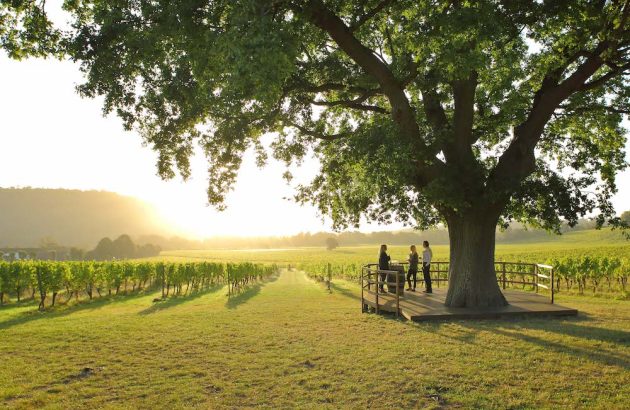 Denbies gets B Corp certification