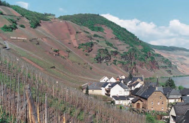 Ernst Loosen to bring his ‘über historical’ Mosel to La Place