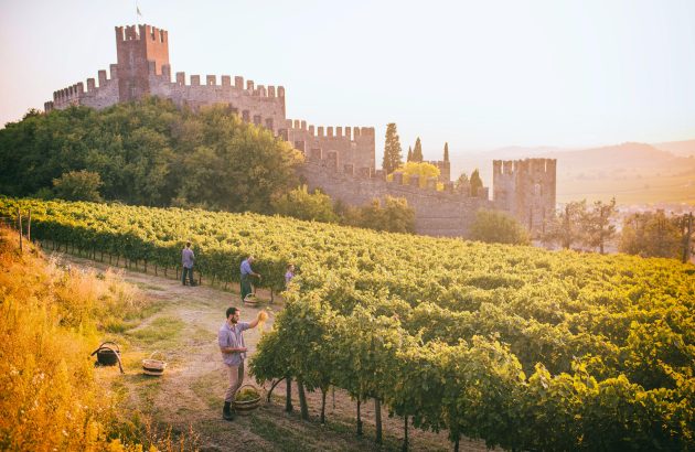 Exploring the relationship between geology and style in Soave