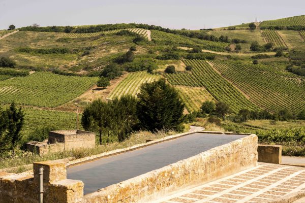 Sicilia DOC showcases immense diversity of one island