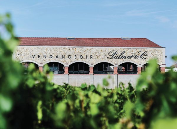 Sustainability soars in Champagne