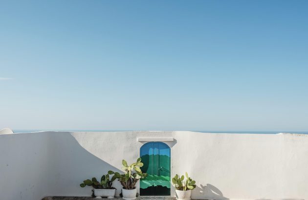 Time to take another look at Primitivo?