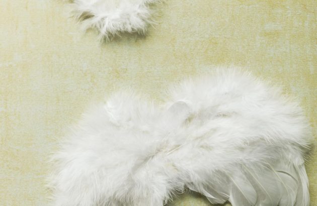 What does sustainable winemaking really mean in 2024?