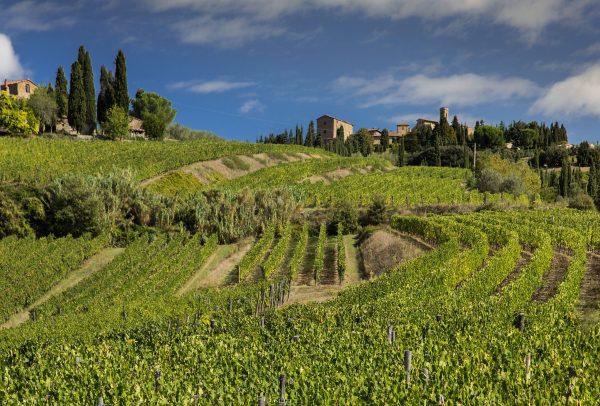 Castello del Volpaia gets exclusive new distributor