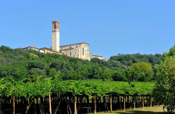 Colli Berici punches above its weight with medals for its Carmenere
