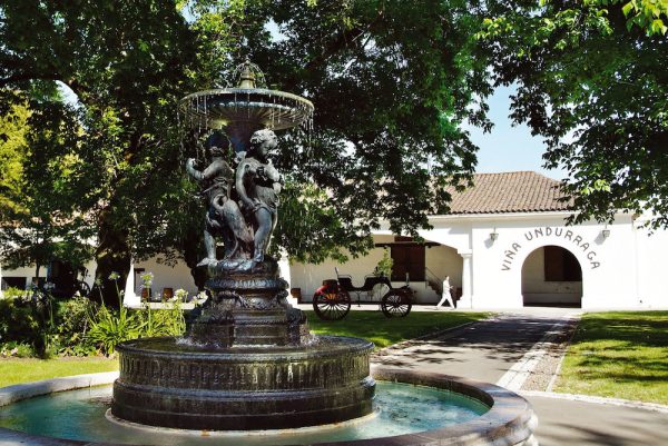 Bouchon and Bisquertt sold to Undurraga