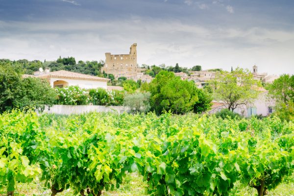 How climate change has made Champagne like Châteauneuf-du-Pape