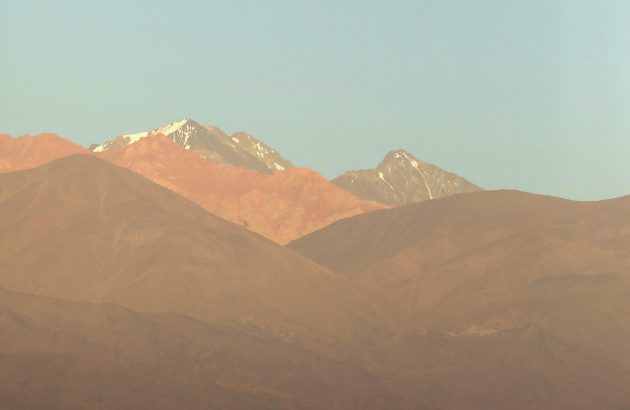 Why this summer is all about Argentina whites