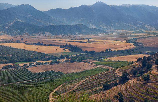 Hors Bordeaux 2025: North and South America and China tasting notes