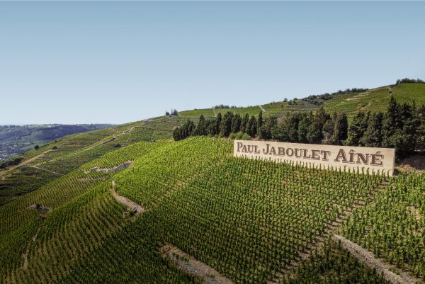 Hallgarten adds Rhone producer Domaines Paul Jaboulet Aîné