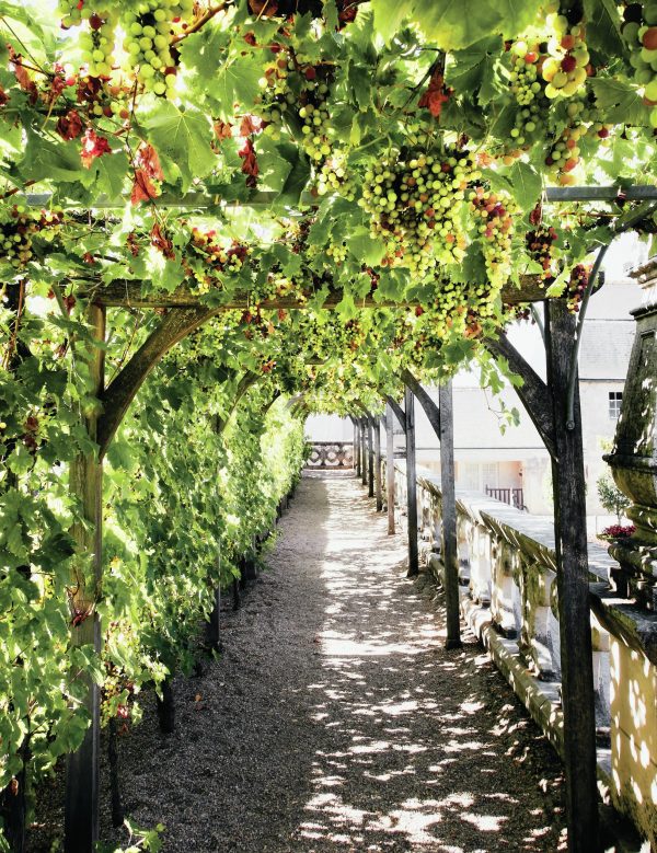 Evolution solution: What does the future hold for the Loire?