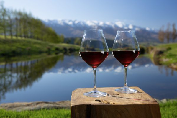 Pinot Noir New Zealand is back for 2025
