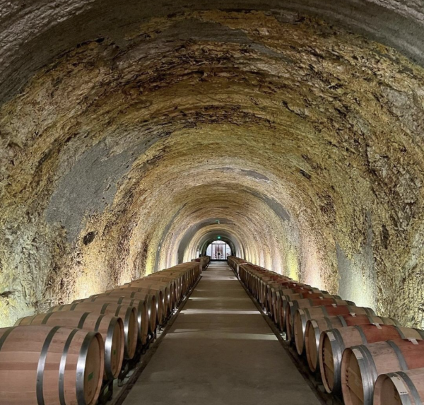 Hundred Acre Wine Group expands Napa footprint