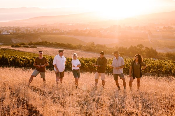 Spier ranked among best Chenin Blanc in the world