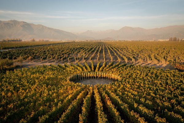 Don Melchor comes full circle