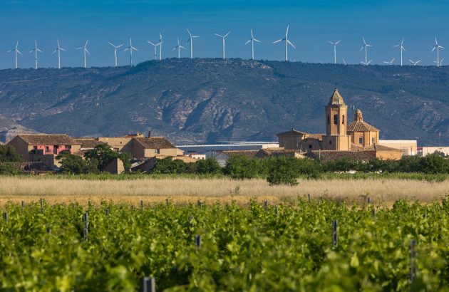 The top green drinks companies of the last five years