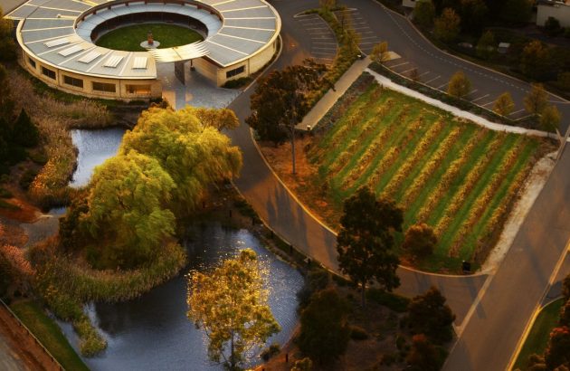 Treasury to sell Wolf Blass and Blossom Hill