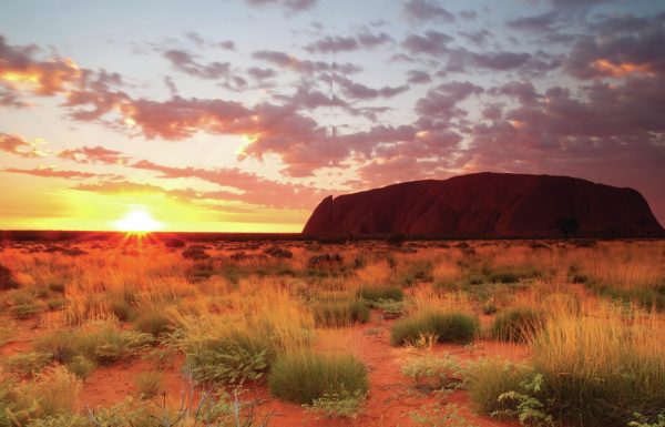 Rock star energy: Australian fine wine takes centre stage