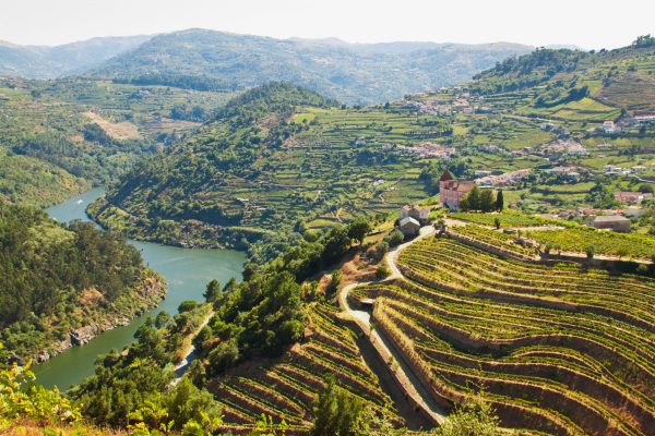 Paul Symington: how failure to consult Douro farmers has fuelled crisis