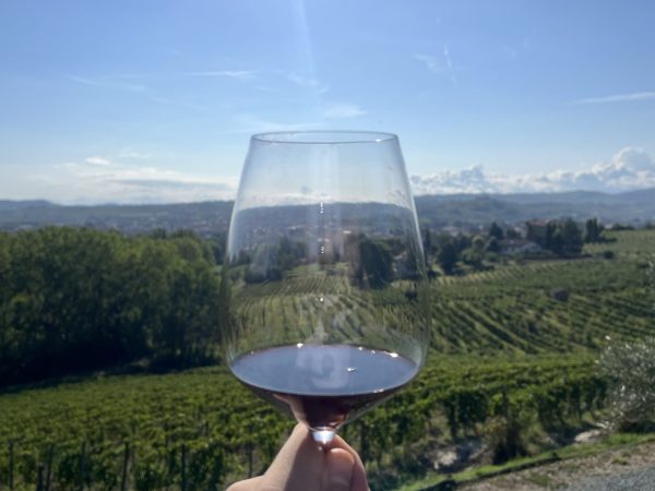 Monferrato’s modernisation of Barbera: Part One