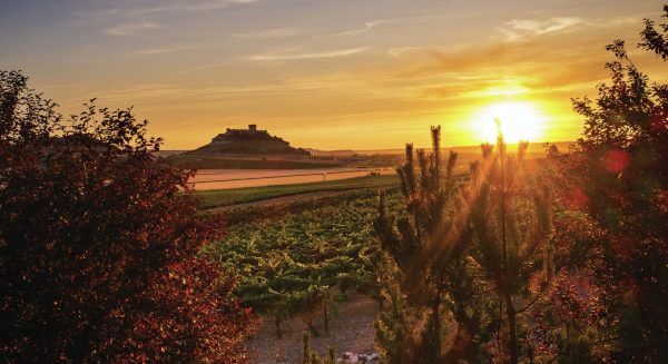Ribera Del Duero propels increase in the value of fine Spanish wines
